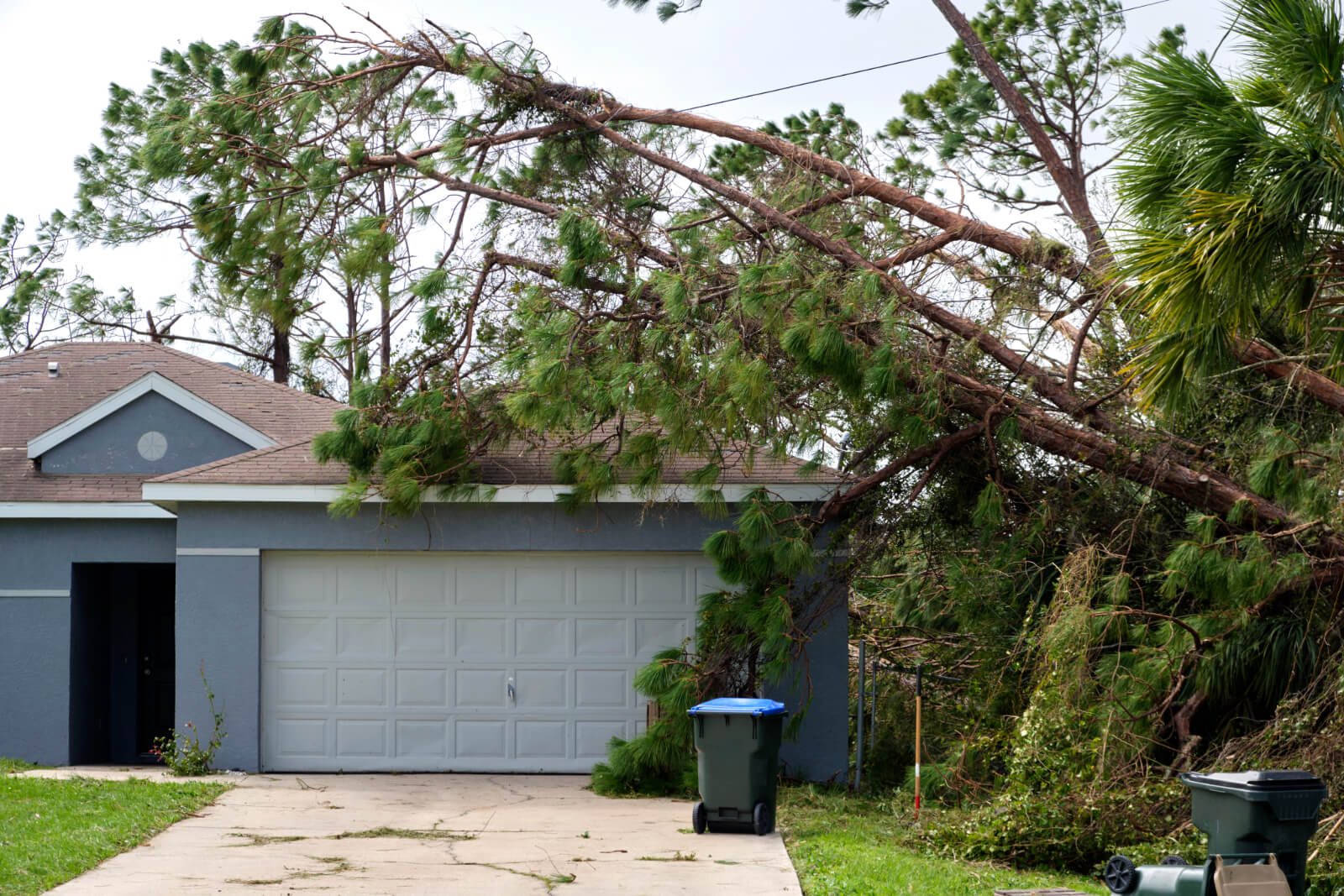 Strong winds pushed a large tree on the roof of a one story house