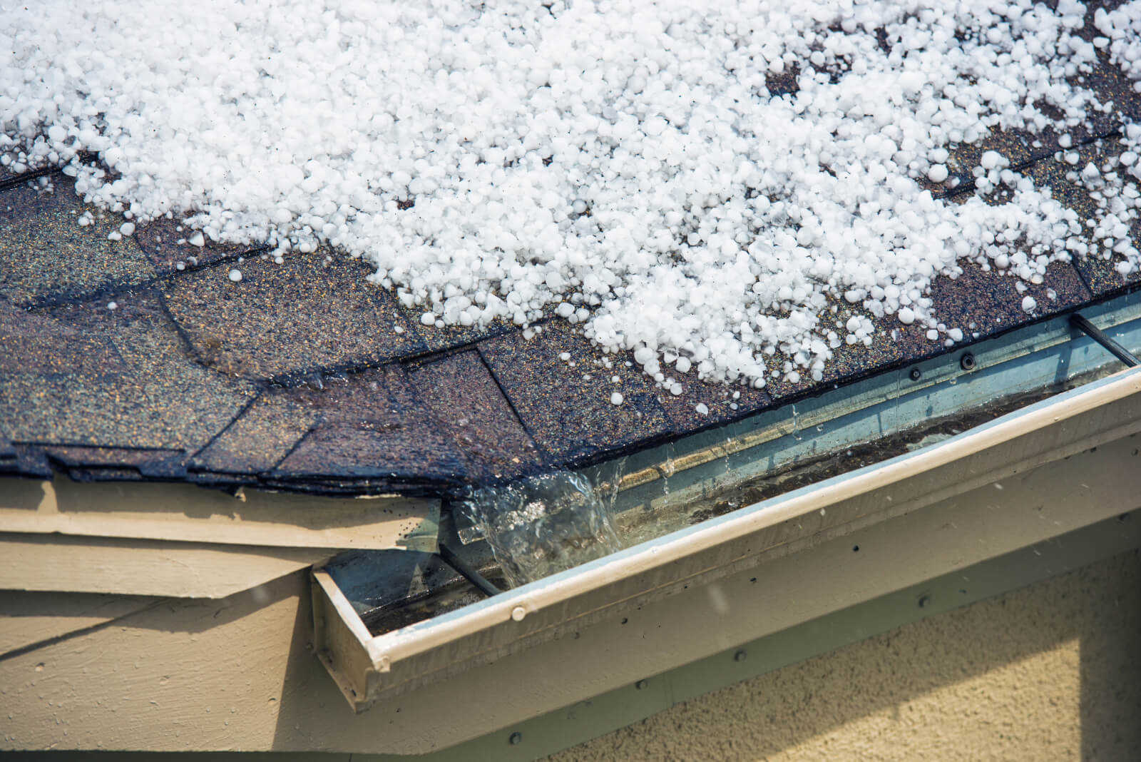 Pellets of hail on top of roof shingles